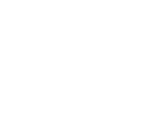 Gemignani Assicurazioni